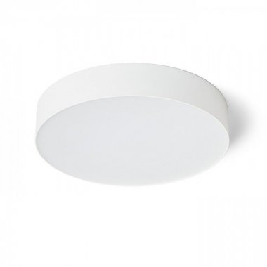 Stropní svítidlo  LED R14442-1