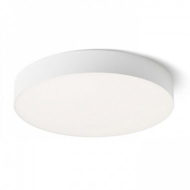 Stropní svítidlo  LED R14445