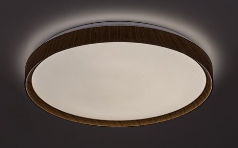 Stropní svítidlo RA 3500-2