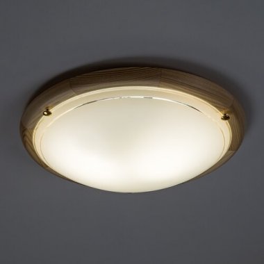 Stropní svítidlo RA 5411-3