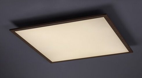Stropní svítidlo RA 6908-2