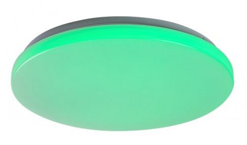Stropní svítidlo RA 71035-2