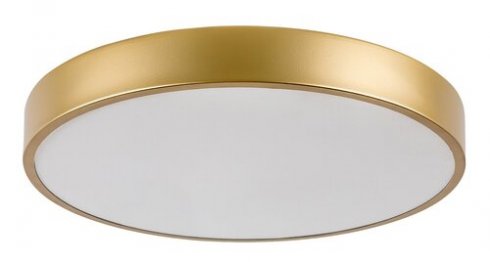 Stropní svítidlo RA 71037-1