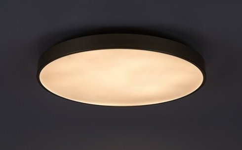 Stropní svítidlo RA 71038-2