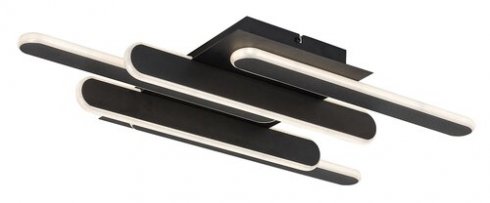 Stropní svítidlo RA 71050-1