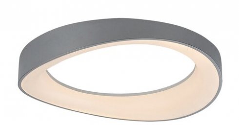 Stropní svítidlo RA 71055-2