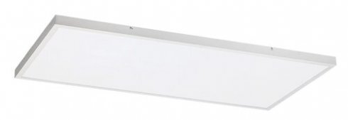 Stropní svítidlo RA 71079-1