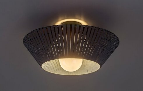 Stropní svítidlo RA 71248-2