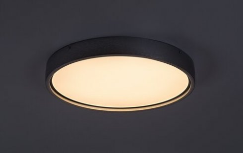 Stropní svítidlo RA 71289-2