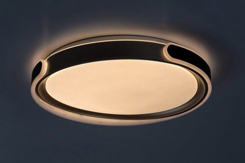 Stropní svítidlo RA 71292-2