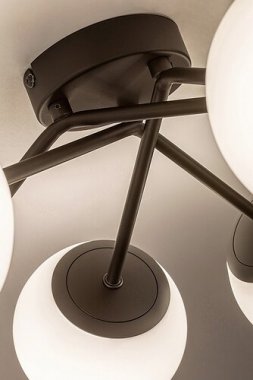 Stropní svítidlo RA 71294-2