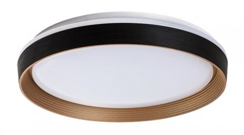 Stropní svítidlo RA 71308-1