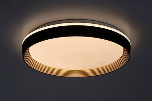 Stropní svítidlo RA 71308-2