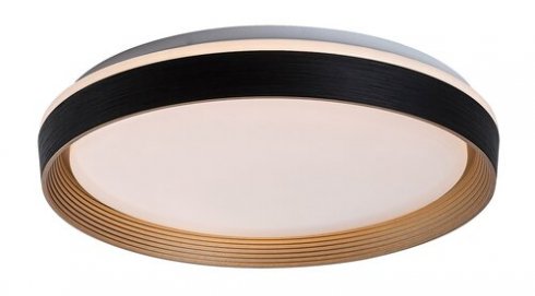 Stropní svítidlo RA 71308