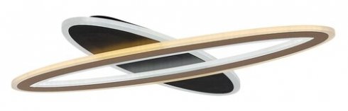 Stropní svítidlo RA 71313-1