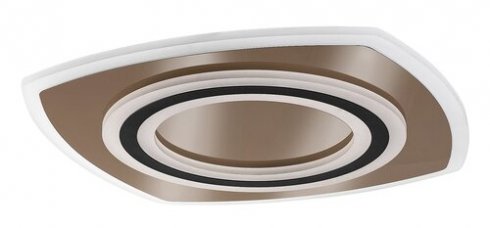 Stropní svítidlo RA 71317-1