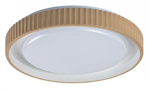 Stropní svítidlo RA 71345-1
