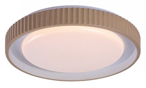 Stropní svítidlo RA 71345