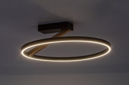 Stropní svítidlo RA 71351-2