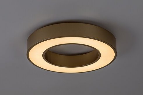 Stropní svítidlo RA 71362-2