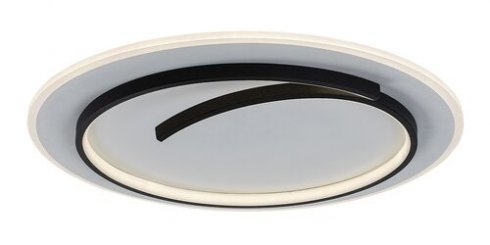 Stropní svítidlo RA 71366-2