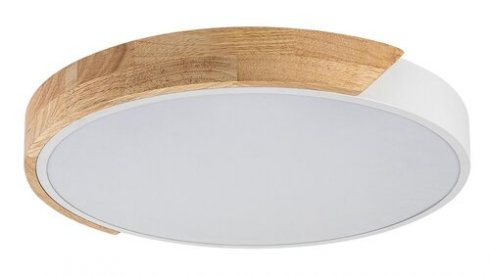 Stropní svítidlo RA 71417-1