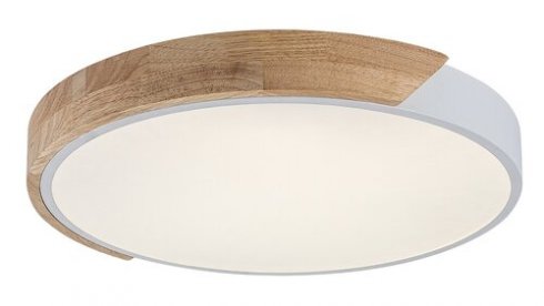 Stropní svítidlo RA 71417