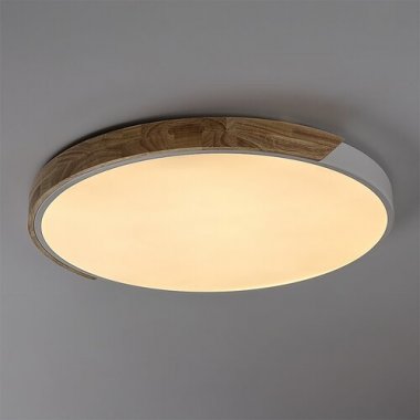 Stropní svítidlo RA 71419-4