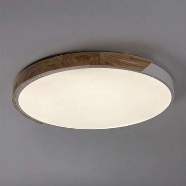 Stropní svítidlo RA 71419-6