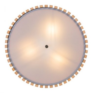 Stropní svítidlo RA 71420-3
