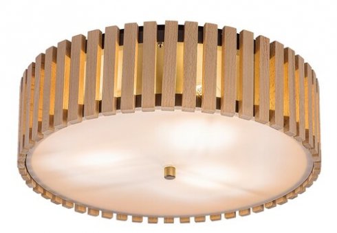 Stropní svítidlo RA 71420
