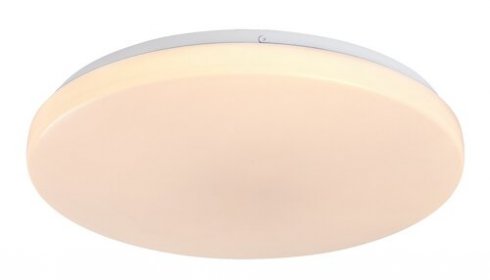Stropní svítidlo RA 71442