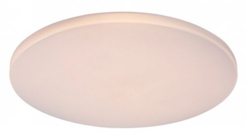 Stropní svítidlo RA 71443