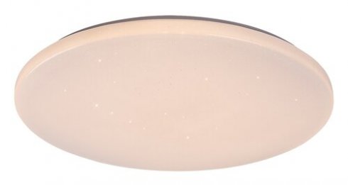 Stropní svítidlo RA 71447