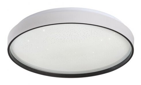 Stropní svítidlo RA 71449