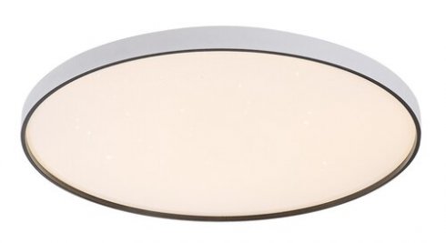 Stropní svítidlo RA 71451