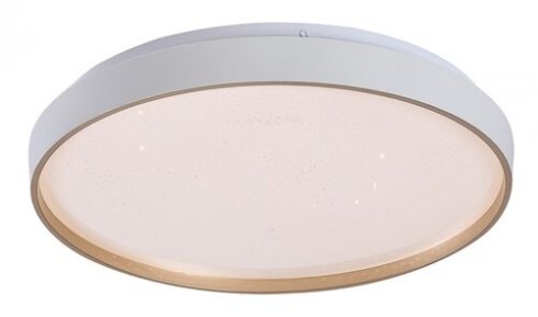 Stropní svítidlo RA 71452