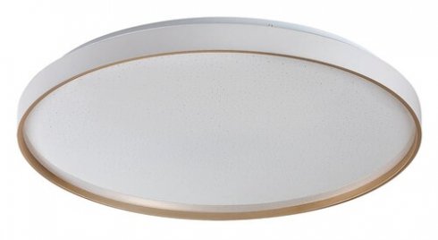 Stropní svítidlo RA 71453-1