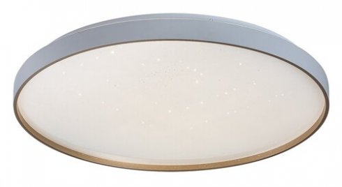 Stropní svítidlo RA 71453