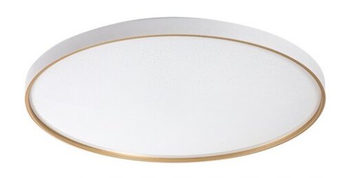 Stropní svítidlo RA 71454-1
