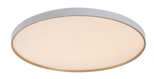 Stropní svítidlo RA 71454