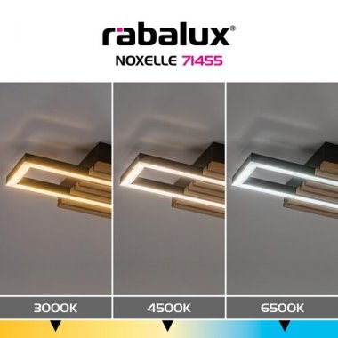 Stropní svítidlo RA 71455-8