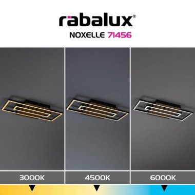 Stropní svítidlo RA 71456-7