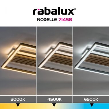 Stropní svítidlo RA 71458-5