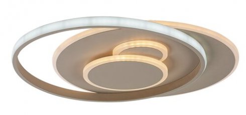 Stropní svítidlo RA 71465