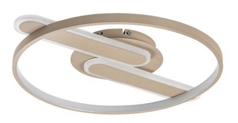 Stropní svítidlo RA 71468-1