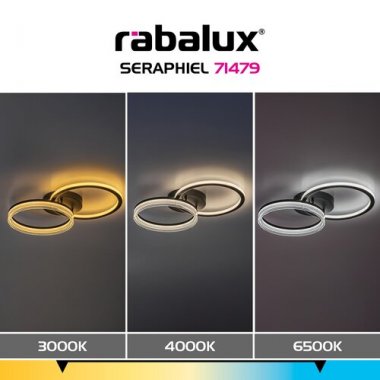 Stropní svítidlo RA 71479-8