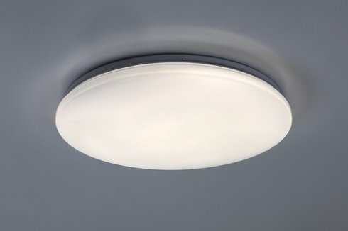 Stropní svítidlo RA 71503-2