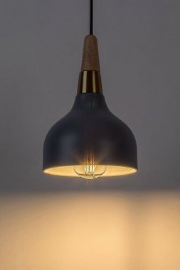 Lustr/závěsné svítidlo RA 72135-2
