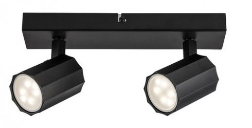 Stropní svítidlo RA 73024-1